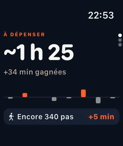 La montre : le solde et les pas restants